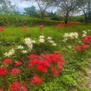 ヒメ日記 2025/10/08 10:02 投稿 八乙女あまね ハプニング痴漢電車or全裸入室