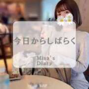 ヒメ日記 2025/04/01 10:19 投稿 みさ Versailles