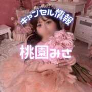 ヒメ日記 2026/03/11 10:20 投稿 みさ Versailles