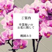 ヒメ日記 2026/04/21 20:11 投稿 みさ Versailles