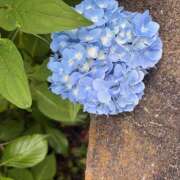 ヒメ日記 2025/06/11 19:22 投稿 あかり 熟女デリヘル 女神の極み