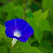 ヒメ日記 2025/07/19 22:01 投稿 あかり 熟女デリヘル 女神の極み