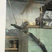 ヒメ日記 2025/03/26 23:59 投稿 桃ノ木　さくや ノーパンパンスト スケベなOL梅田・兎我野店