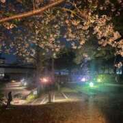 ヒメ日記 2025/04/21 22:03 投稿 桃ノ木　さくや ノーパンパンスト スケベなOL梅田・兎我野店