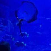 ヒメ日記 2025/04/29 21:18 投稿 桃ノ木　さくや ノーパンパンスト スケベなOL梅田・兎我野店