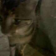 ヒメ日記 2026/02/16 06:53 投稿 桃ノ木　さくや ノーパンパンスト スケベなOL梅田・兎我野店