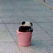 ヒメ日記 2026/03/23 12:38 投稿 桃ノ木　さくや ノーパンパンスト スケベなOL梅田・兎我野店