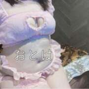 ヒメ日記 2024/12/05 10:39 投稿 おとは ぽっちゃりデリヘル倶楽部