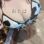 ヒメ日記 2024/12/12 00:59 投稿 おとは ぽっちゃりデリヘル倶楽部