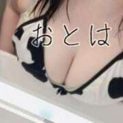 ヒメ日記 2024/12/17 17:24 投稿 おとは ぽっちゃりデリヘル倶楽部