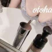 ヒメ日記 2024/12/19 12:09 投稿 おとは ぽっちゃりデリヘル倶楽部