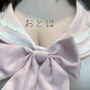 ヒメ日記 2025/01/08 22:39 投稿 おとは ぽっちゃりデリヘル倶楽部