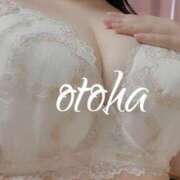 ヒメ日記 2025/03/30 00:01 投稿 おとは ぽっちゃりデリヘル倶楽部