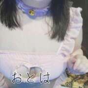 ヒメ日記 2025/05/22 09:56 投稿 おとは ぽっちゃりデリヘル倶楽部