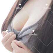 ヒメ日記 2025/10/15 21:42 投稿 おとは ぽっちゃりデリヘル倶楽部