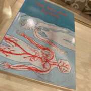 ヒメ日記 2025/12/18 01:39 投稿 おとは ぽっちゃりデリヘル倶楽部