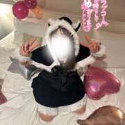 ヒメ日記 2024/12/26 15:11 投稿 ちい スピードエコ日本橋店