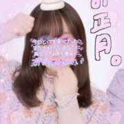 ヒメ日記 2025/01/05 23:29 投稿 ちい スピードエコ日本橋店