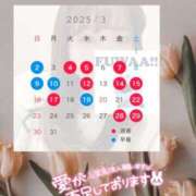 ヒメ日記 2025/03/01 22:43 投稿 ちい スピードエコ日本橋店