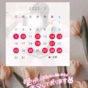 ヒメ日記 2025/03/08 19:19 投稿 ちい スピードエコ日本橋店