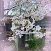 ヒメ日記 2025/04/06 21:39 投稿 ちい スピードエコ日本橋店