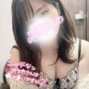 ヒメ日記 2025/04/24 14:09 投稿 ちい スピードエコ日本橋店