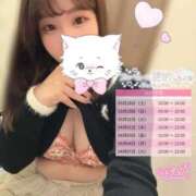 ヒメ日記 2026/03/28 13:35 投稿 ちい スピードエコ日本橋店