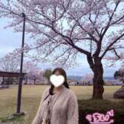 ヒメ日記 2026/04/05 22:27 投稿 ちい スピードエコ日本橋店