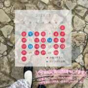 ヒメ日記 2026/04/24 15:19 投稿 ちい スピードエコ日本橋店