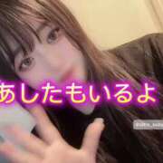 ヒメ日記 2025/07/26 05:26 投稿 雨宮すずか 五反田ウルトラファンタジー