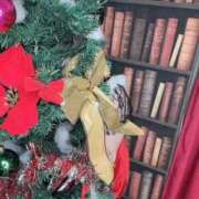 ヒメ日記 2025/12/24 20:47 投稿 雨宮すずか 五反田ウルトラファンタジー