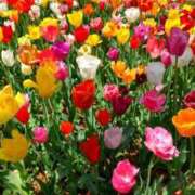 ヒメ日記 2024/12/17 08:15 投稿 あん PLEASURE