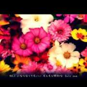 ヒメ日記 2025/03/03 01:03 投稿 あん PLEASURE