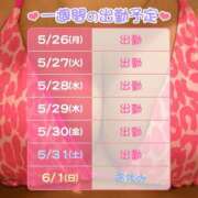 ヒメ日記 2025/05/26 09:56 投稿 あん PLEASURE