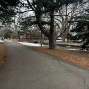 ヒメ日記 2025/04/09 09:04 投稿 真田佳織 五十路マダム 仙台店