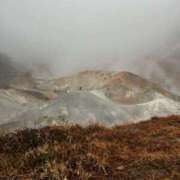 ヒメ日記 2025/04/10 16:24 投稿 真田佳織 五十路マダム 仙台店