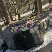 ヒメ日記 2025/05/01 21:42 投稿 真田佳織 五十路マダム 仙台店