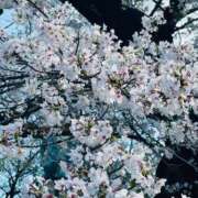 ヒメ日記 2025/04/04 16:42 投稿 みこ 鶯谷デリヘル倶楽部