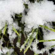 ヒメ日記 2026/02/09 09:32 投稿 みこ 鶯谷デリヘル倶楽部