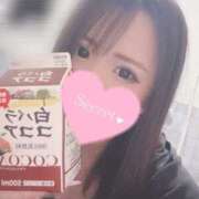 ヒメ日記 2024/12/24 22:48 投稿 スジエビ　筋海老 女の子市場