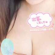 ヒメ日記 2025/01/05 11:48 投稿 スジエビ　筋海老 女の子市場