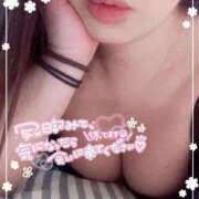 ヒメ日記 2025/01/06 14:08 投稿 スジエビ　筋海老 女の子市場