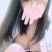 ヒメ日記 2025/01/06 19:48 投稿 スジエビ　筋海老 女の子市場