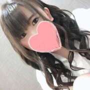 ヒメ日記 2025/05/08 14:48 投稿 スジエビ　筋海老 女の子市場