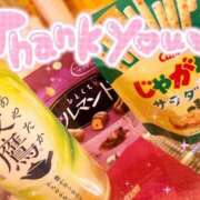 ヒメ日記 2025/05/10 11:18 投稿 スジエビ　筋海老 女の子市場