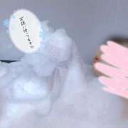 ヒメ日記 2025/05/11 16:18 投稿 スジエビ　筋海老 女の子市場