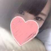 ヒメ日記 2025/05/12 14:41 投稿 スジエビ　筋海老 女の子市場