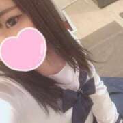 ヒメ日記 2025/05/14 14:38 投稿 スジエビ　筋海老 女の子市場