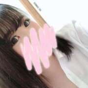 ヒメ日記 2025/05/16 11:58 投稿 スジエビ　筋海老 女の子市場