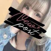 ヒメ日記 2025/05/16 13:48 投稿 スジエビ　筋海老 女の子市場